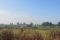 Wandelen in Natuurschoon