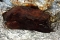 Procureur na 8.5 uur BBQ