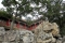 Verboden Stad Beijing