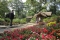 Humble Administrator's Garden