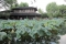 Humble Administrator's Garden