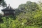 Humble Administrator's Garden