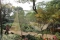 Humble Administrator's Garden