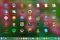 Launchpad