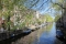 Grachten Amsterdam