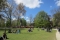 Vondelpark Amsterdam