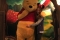 Melissa met Winnie de Pooh