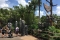 Disney Magic Kingdom