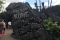 Skull Island Reign of Kong
