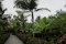 Botanische Tuin in Arucas