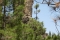 Uitzicht naar Roque Nublo