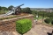 Kanon bij Union Buildings