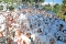 Schuimparty Hydromania