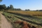 Herfstwandeling