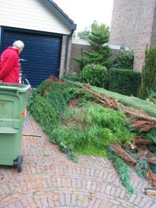 Afgezaagde Takken