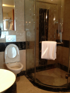 Hotekamer Moevenpick Bangalore