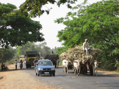 Ossenwagens