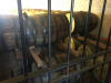 Whiskeyvaten