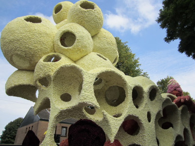 Bubbels 16e Prijs