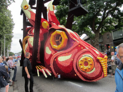 Rabbot (14e Prijs)