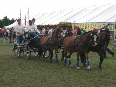 Open rijtuig met Paarden ervoor