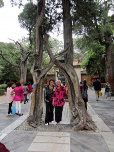 Verboden Stad Beijing