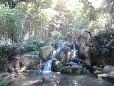 Tiger Hill