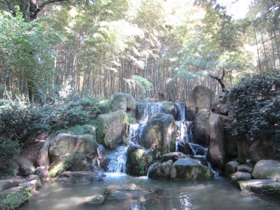 Tiger Hill