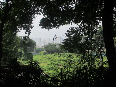 Tiger Hill