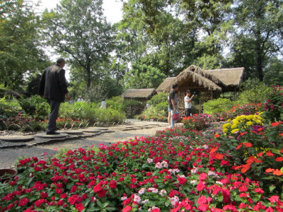Humble Administrator's Garden