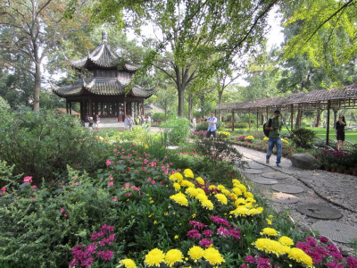 Humble Administrator's Garden