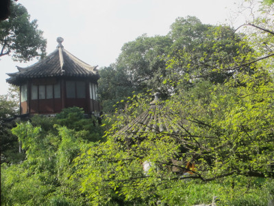 Humble Administrator's Garden