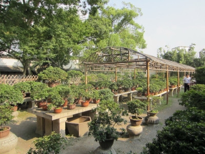 Humble Administrator's Garden