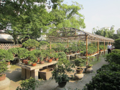 Humble Administrator's Garden