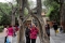 Verboden Stad Beijing