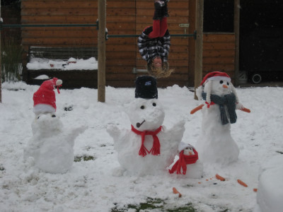 Sneeuwpoppen