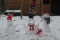 Sneeuwpoppen