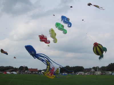 Vliegers tijdens Vliegerdagen Rijsbergen 2013