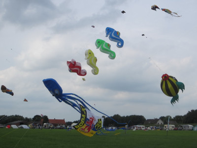 Vliegers tijdens Vliegerdagen Rijsbergen 2013