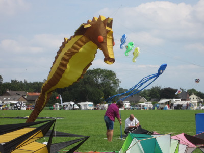 Vliegers tijdens Vliegerdagen Rijsbergen 2013