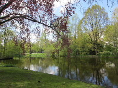 Vondelpark Amsterdam