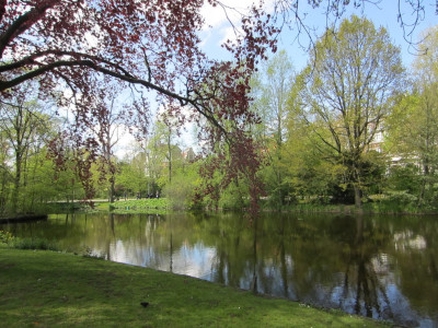 Vondelpark Amsterdam