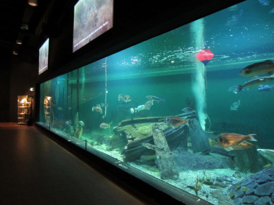 Aquapolis