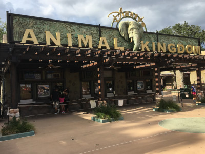 Ingang Animal Kingdom