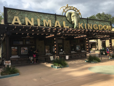 Ingang Animal Kingdom