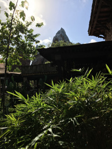 Expedition Everest