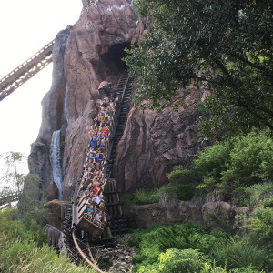 Expedition Everest