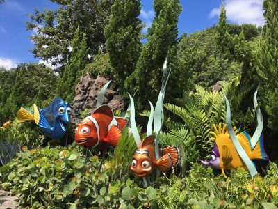 Finding Nemo