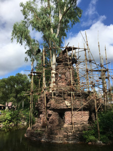 Animal Kingdom