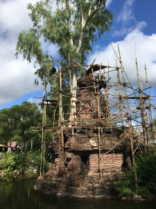 Animal Kingdom